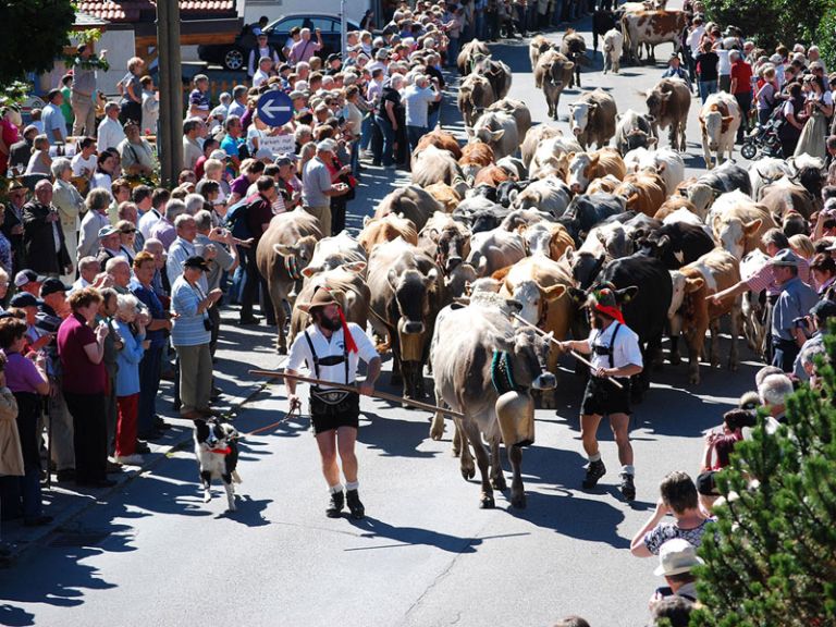 Festumzug im Tannheimer Tal